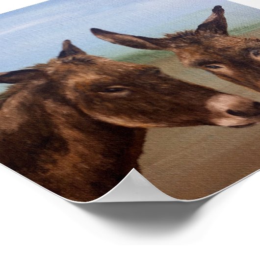 Donkey Double Poster (Hoek)