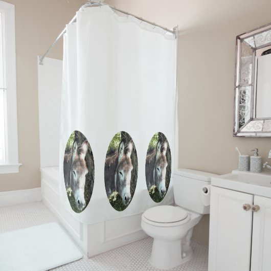 DONKEY DOUCHEGORDIJN (In situ)