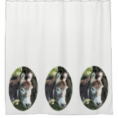 DONKEY DOUCHEGORDIJN (Voorkant)