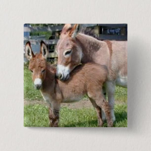 Donkey en Baby Vierkante Button 5,1 Cm