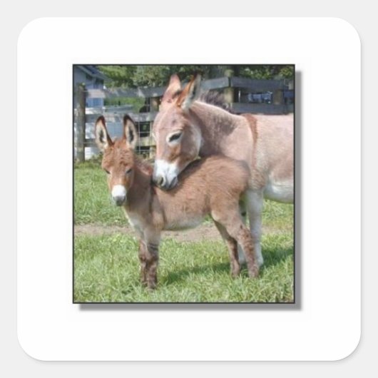 Donkey en Baby Vierkante Sticker (Voorkant)