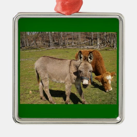 Donkey en Koe Ornament (Voorkant)