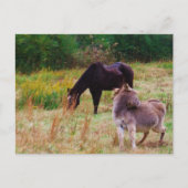 Donkey en paard in een Herfst veld. Briefkaart (Voorkant)