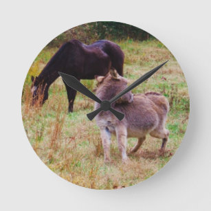 Donkey en paard in een Herfst veld. Ronde Klok