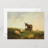 Donkey en Sheep van William Shayer Briefkaart (Voorkant / Achterkant)