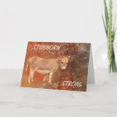 Donkey Enmoegement Cancer Support Kaart (Voorkant)