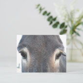 Donkey Eyes Briefkaart (Staand voorkant)