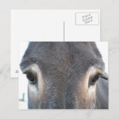 Donkey Eyes Briefkaart (Voorkant / Achterkant)