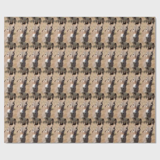 Donkey Face Cadeaupapier (Vlak)