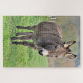 Donkey Farm Animal In Green Pasture Nature Legpuzzel (Horizontaal)