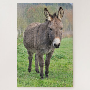 Donkey Farm Animal In Green Pasture Nature Legpuzzel