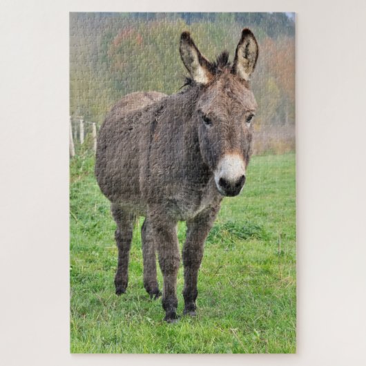 Donkey Farm Animal In Green Pasture Nature Legpuzzel (Verticaal)