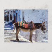 Donkey, Fira Santorini, Griekenland Briefkaart (Voorkant)