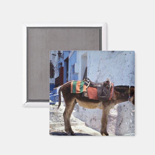 Donkey, Fira Santorini, Griekenland Magneet (Voorkant / Achterkant)