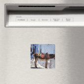 Donkey, Fira Santorini, Griekenland Magneet (Insitu (Vaatwasser))