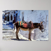 Donkey, Fira Santorini, Griekenland Poster (Voorkant)