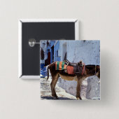 Donkey, Fira Santorini, Griekenland Vierkante Button 5,1 Cm (Voorkant /achterkant)