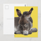 Donkey Foal Briefkaart (Voorkant / Achterkant)