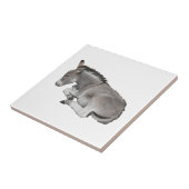 Donkey Foal Tegeltje (Zijkant)