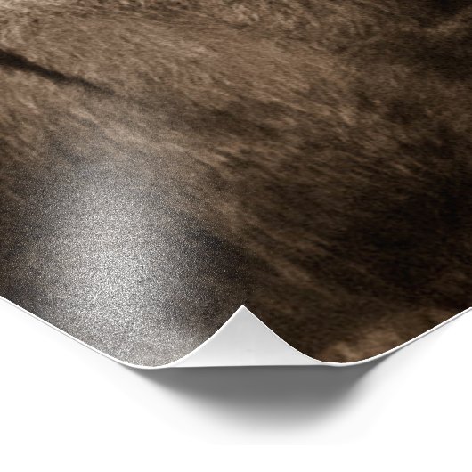 Donkey Foto Afdruk (Hoek)