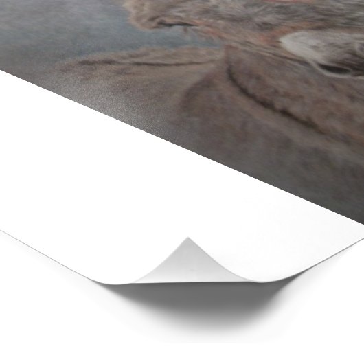 Donkey Foto Afdruk (Hoek)