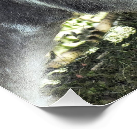 DONKEY FOTO AFDRUK (Hoek)