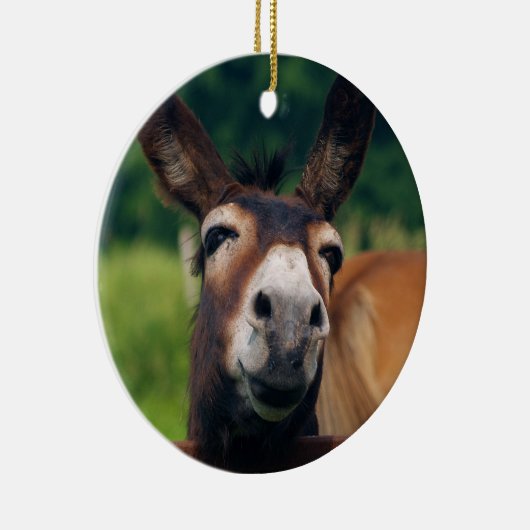 Donkey glimlacht voor Kerstmis Keramisch Ornament (Rechts)