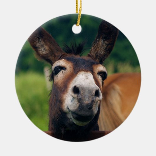 Donkey glimlacht voor Kerstmis Keramisch Ornament (Voorkant)