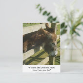 Donkey Greetings Briefkaarten (Staand voorkant)