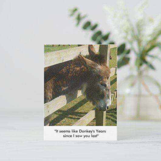 Donkey Greetings Briefkaarten (Staand voorkant)