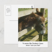 Donkey Greetings Briefkaarten (Voorkant / Achterkant)