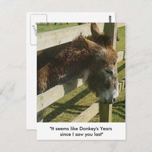 Donkey Greetings Briefkaarten (Voorkant / Achterkant)