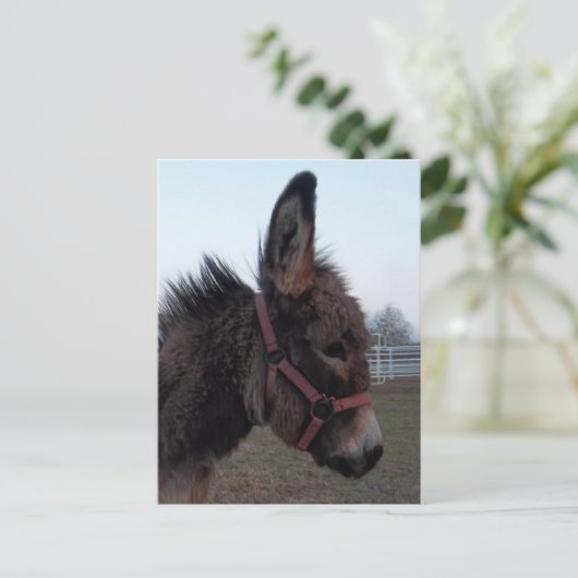 Donkey-Head Briefkaart (Staand voorkant)