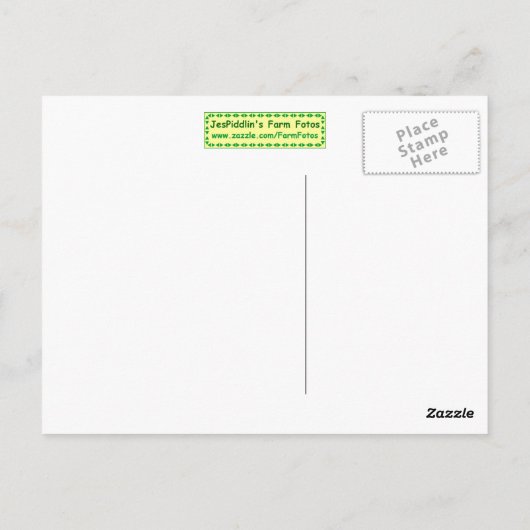 Donkey-Head Briefkaart (Achterkant)