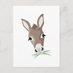 Donkey Head Briefkaart