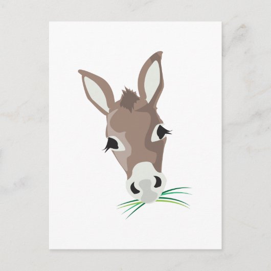 Donkey Head Briefkaart (Voorkant)