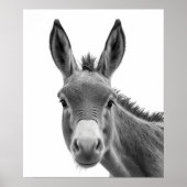 Donkey Head Portrait zwart wit Poster (Voorkant)