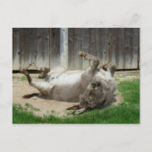 Donkey heeft een weg briefkaart (Voorkant)