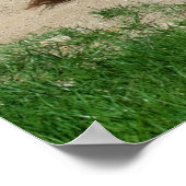 Donkey heeft een weg poster (Hoek)