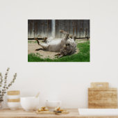 Donkey heeft een weg poster (Keuken)