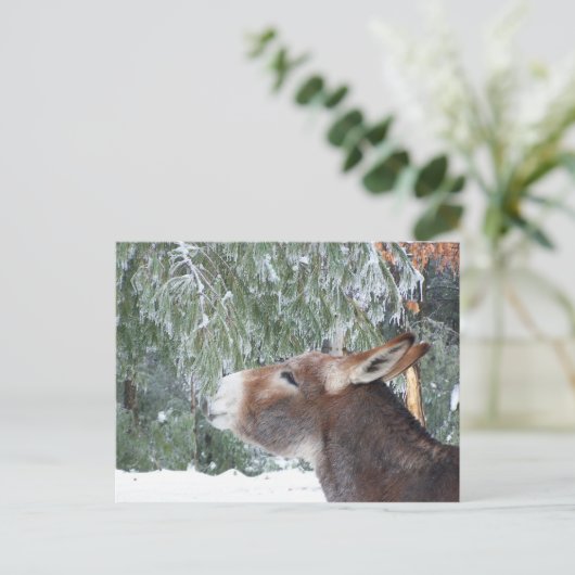 Donkey Holiday Briefkaart (Staand voorkant)