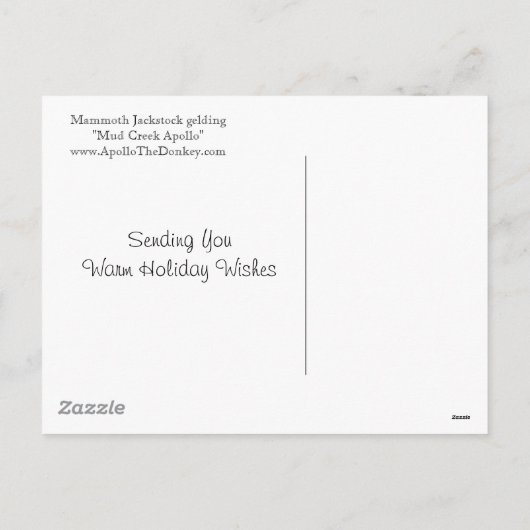 Donkey Holiday Briefkaart (Achterkant)