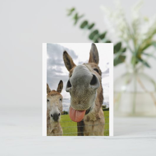 Donkey Humor Briefkaart (Staand voorkant)