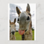 Donkey Humor Briefkaart (Voorkant)