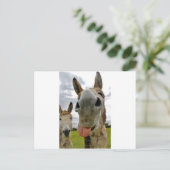 Donkey Humor Briefkaart (Staand voorkant)