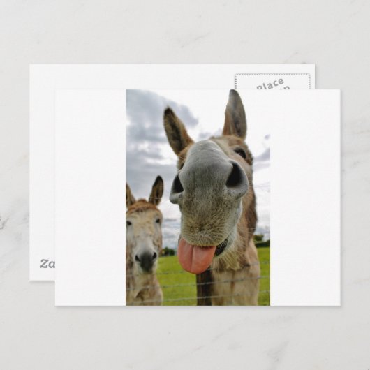 Donkey Humor Briefkaart (Voorkant / Achterkant)