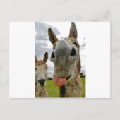 Donkey Humor Briefkaart (Voorkant)