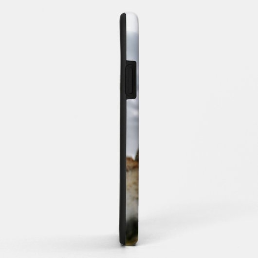 Donkey Humor Case-Mate iPhone Case (Achterkant/rechts)