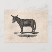  Donkey Illustration - Donkeys 1800 Briefkaart (Voorkant)