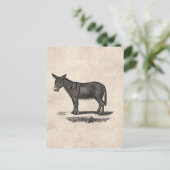  Donkey Illustration - Donkeys 1800 Briefkaart (Staand voorkant)
